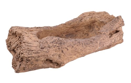 KÜLTÉRI KASPÓ, BONSAI, FATÖRZS MINTÁJÚ