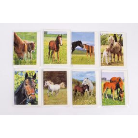 ÜDVÖZLŐ KÁRTYA/LÓ 9CM 8S/ST