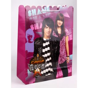 DISNEY PAPÍRTASAK CAMP ROCK - SHANE