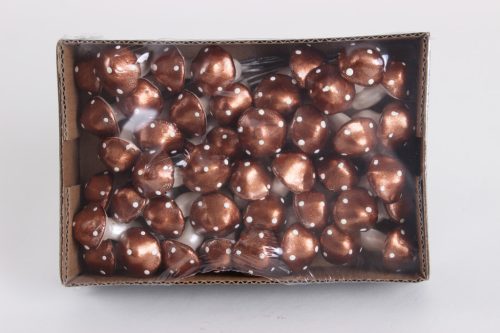 FOAM GOMBA*60 BRONZ       2