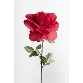 RÓZSA SZÁLAS PIROS     70CM