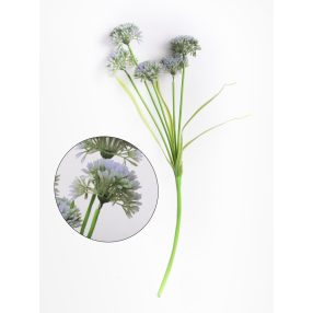 MŰVIRÁG CSOKOR AGAPANTHUS - SZERELEMVIRÁG