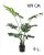 FILODENDRON, 9 LEVÉLLEL, CSERÉPBEN