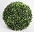 BUXUS GÖMB, ZÖLD