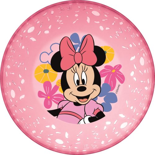 LICENCE MŰANYAG MÉLYTÁNYÉR, ÁTLÁTSZÓ, MINNIE